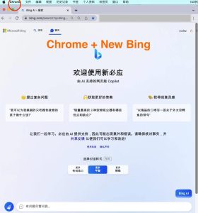 Bing完美聊天机器人,支持GPT提示词国内可用兼容BingAI所有功能-蝙蝠源码网