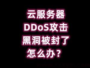 服务器 DDoS 攻击黑洞被封了怎么办?-蝙蝠源码网
