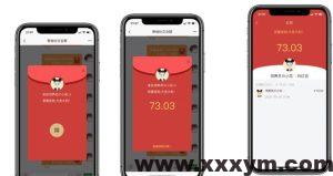 【钻石免费】即时通讯IM系统+支持红包转账+朋友圈+群聊和群聊红包+收藏功能+语音相册视频通话视频部署教程-蝙蝠源码网