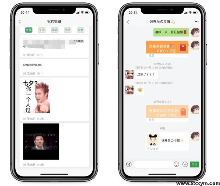 20231209224018951-im02