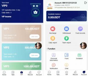 海外视频平台点赞刷单悬赏任务投资理财源码/tiktok+YouTube+instagram+facebook-蝙蝠源码网